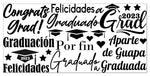 Vinil Decorativo Negro Graduación